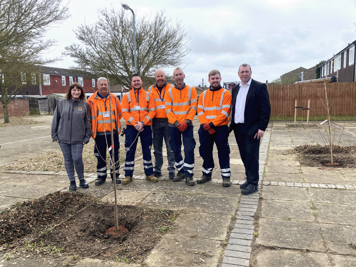 New Cherry Trees enhance local space featured image