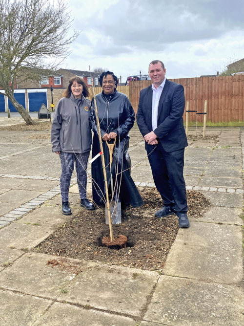 Jo Savage, Cheryl Armatrading and Steve Collins standing behind on of the newly planted Cherry Trees